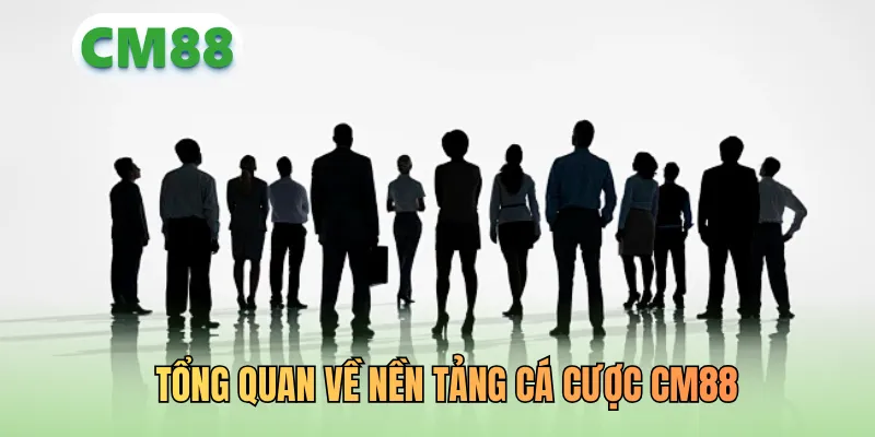Tổng quan về nền tảng cá cược CM88
