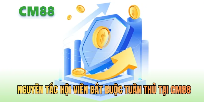 Những nguyên tắc hội viên bắt buộc tuân thủ tại CM88
